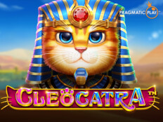 Slot casino oyunları bedava14